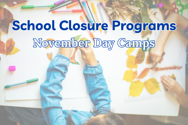 November 2025 School Closure Day Camps