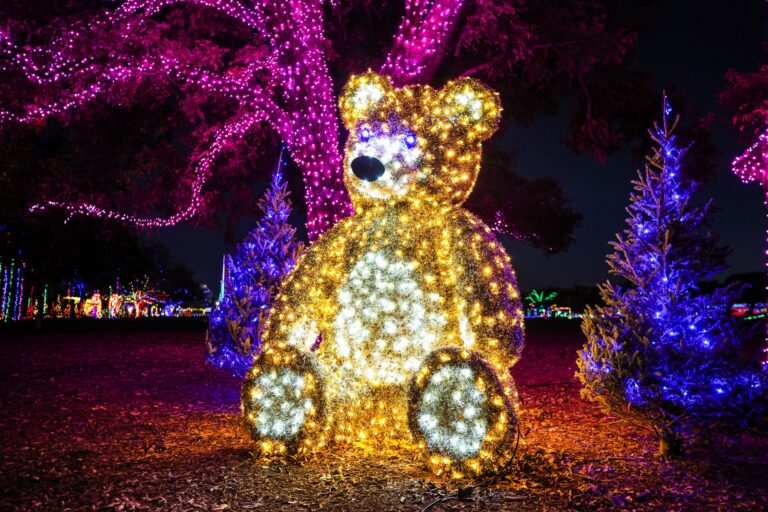 Shine Bright Austin: Top Holiday Light & Event Picks for the Family 🎄